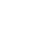 Smartorg-logo-white-text